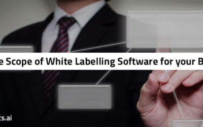 The True Scope of White Labelling Software for your Business